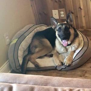 Meet your Posher, Alexander